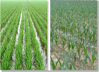 �r�������